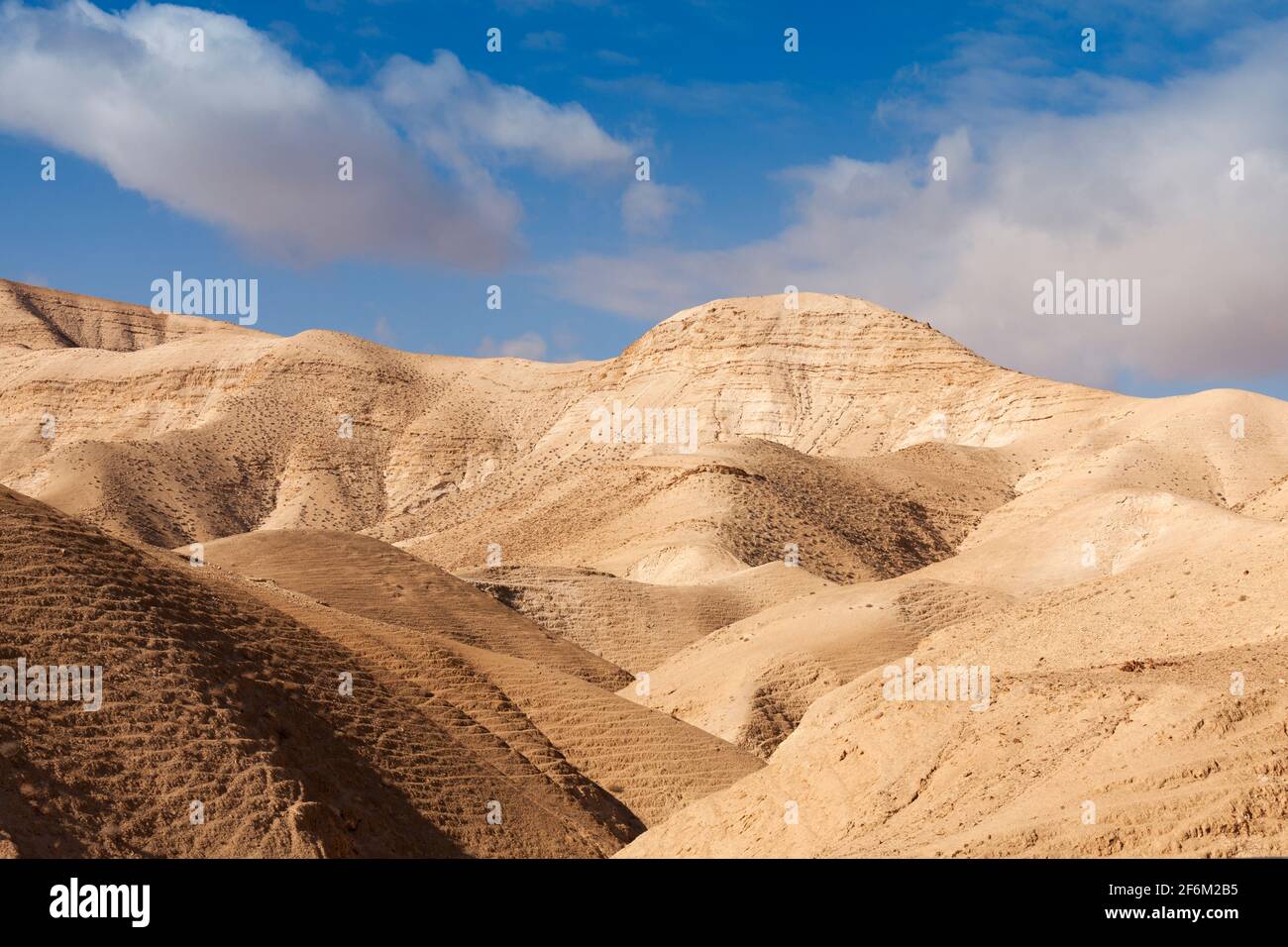 Israël, désert du Néguev, paysage désertique aride Banque D'Images