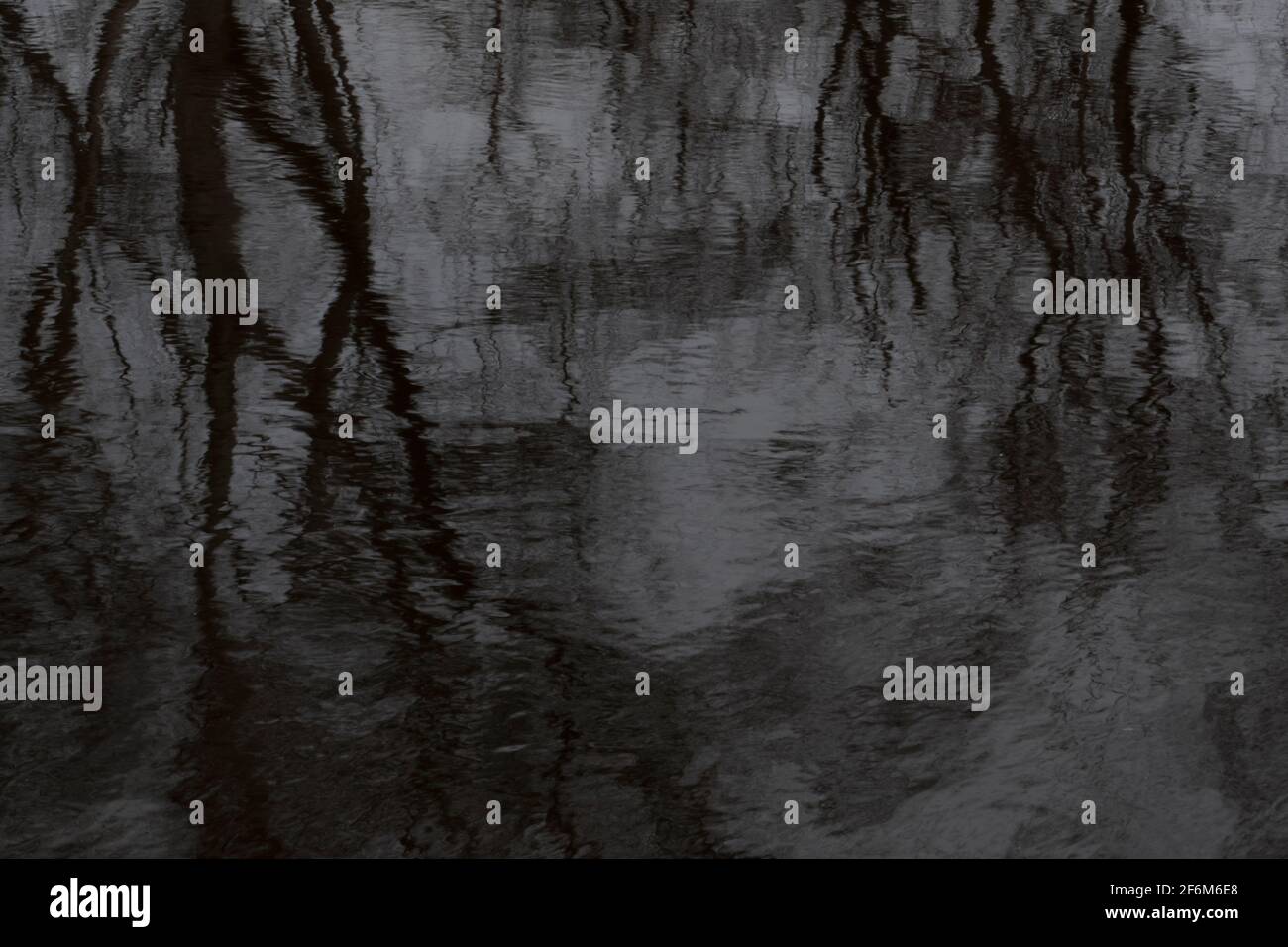 Arrière-plan d'eau noire, arbres réfléchis dans l'eau sombre Banque D'Images