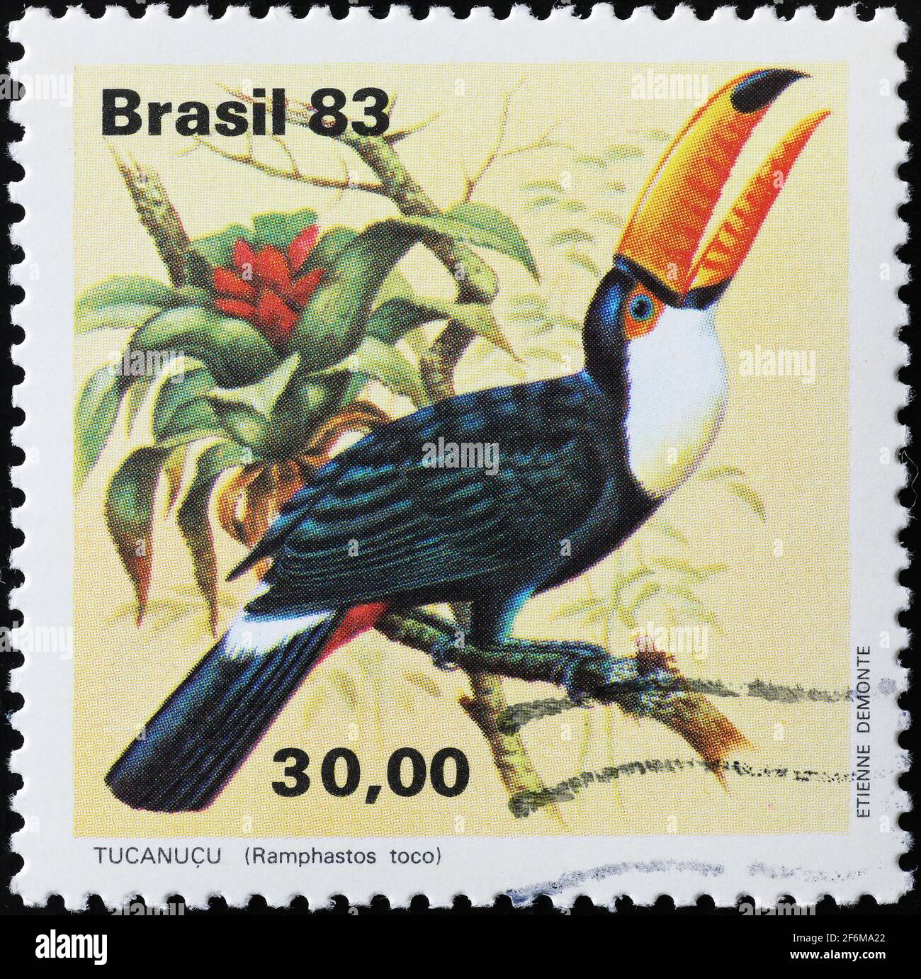 Toco toucan sur timbre-poste brésilien Banque D'Images