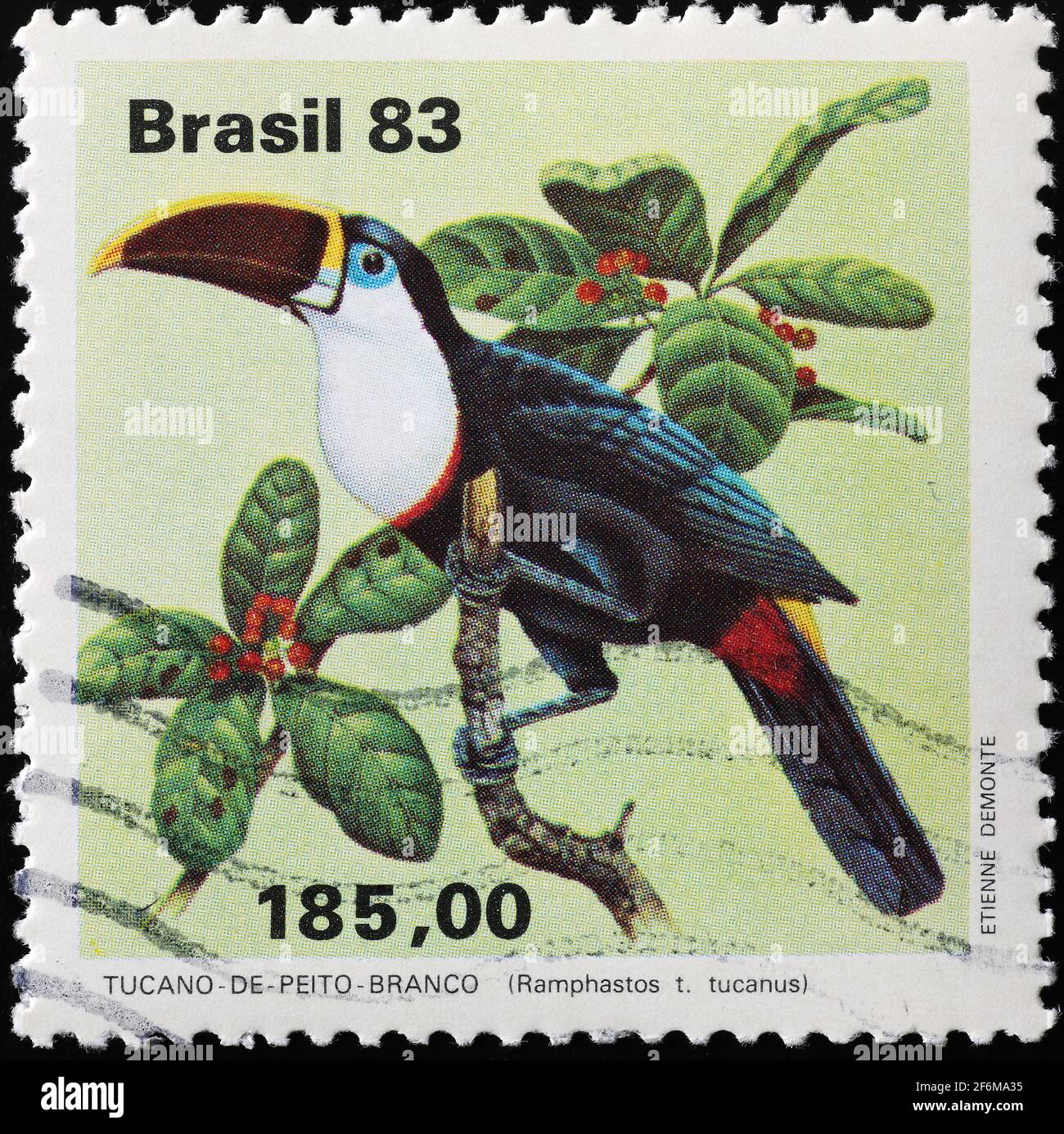 Toucan à gorge blanche sur timbre-poste brésilien Banque D'Images