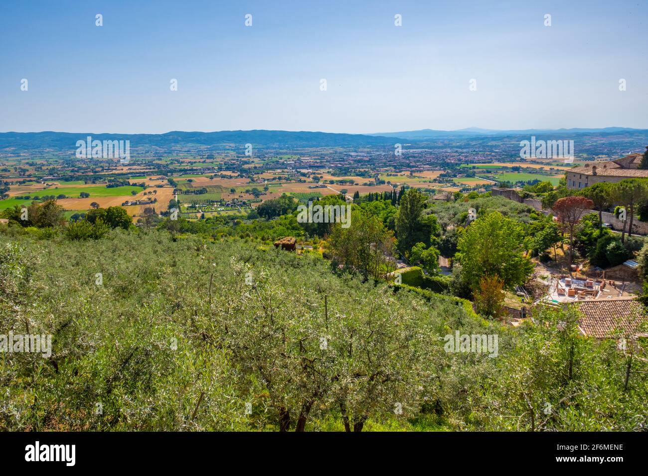 La plaine de Spoleto de la célèbre ville médiévale d'Assise, Terni, Ombrie, Italie Banque D'Images