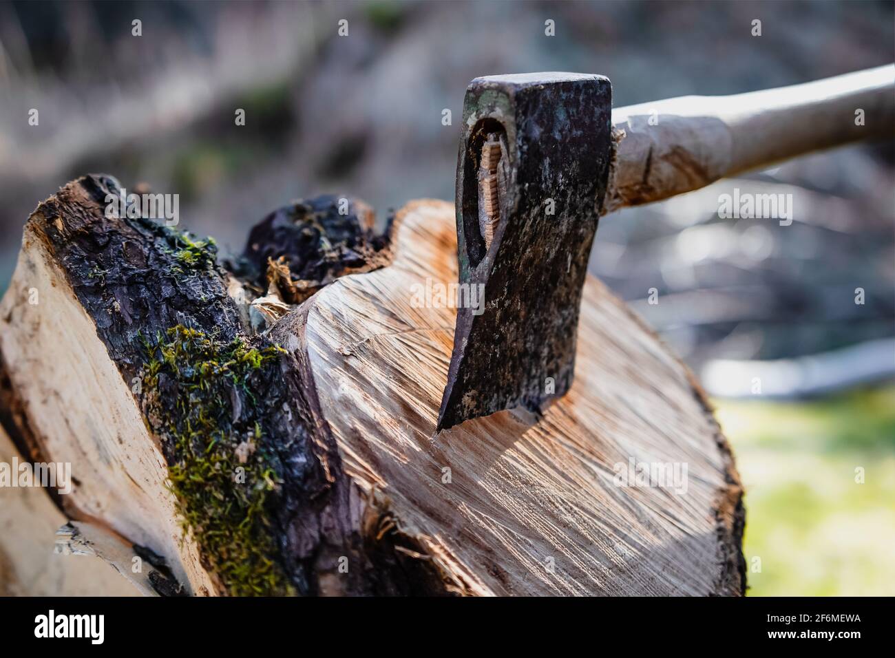 Une hache qui est coupée en un morceau de bois De la forêt suédoise Photo  Stock - Alamy