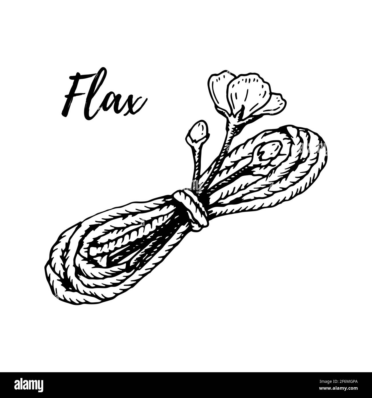 Pelin de fil de lin dessiné à la main avec fleur de lin isolée sur blanc. Illustration vectorielle dans le style d'esquisse Illustration de Vecteur