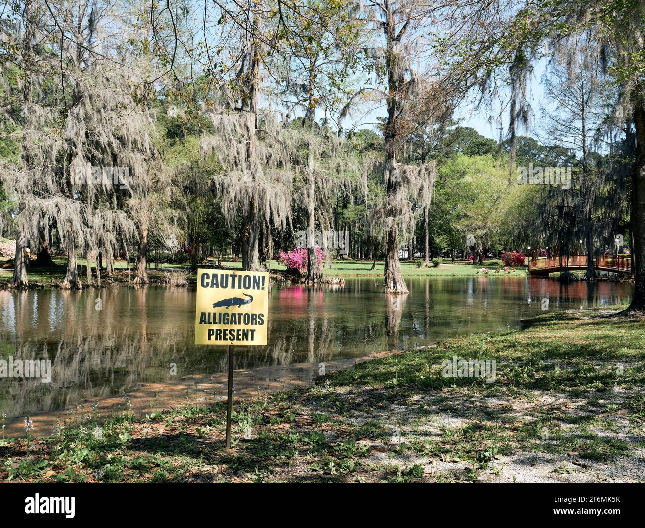 Petit étang dans le sud ou la Floride avec un panneau d'avertissement alligator dans l'eau à Montgomery Alabama, USA. Banque D'Images