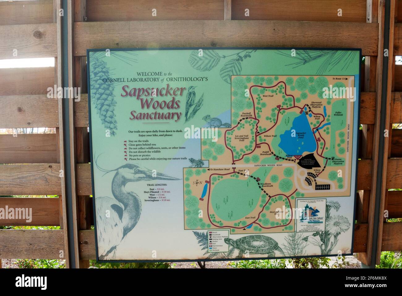 Carte des sentiers à travers le Cornell Laboratory of ornithologie Sapsucker Woods Sanctuary, à l'extérieur d'Ithica, New York, États-Unis. Banque D'Images