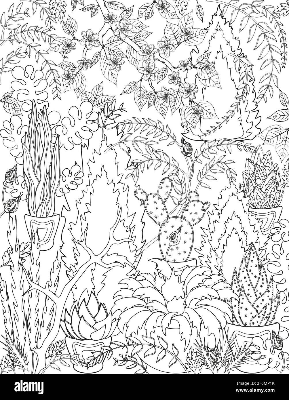 Coloriage Pour Adultes Plantes A Tisser Cactus Et Fleurs Photo Stock Alamy Coloriage Pour Adultes Plantes A Tisser Cactus Et Fleurs Photo Stock Alamy