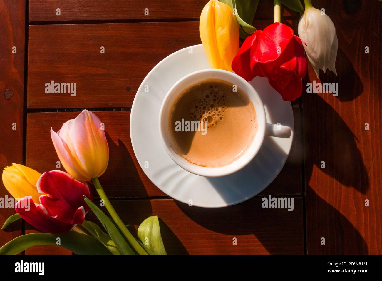 tasse de café au printemps Banque D'Images