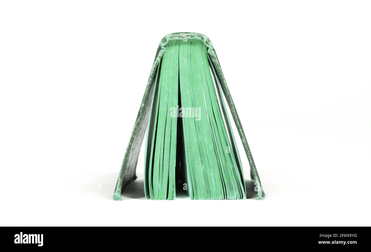Petit livre vert, isolé sur fond blanc Banque D'Images