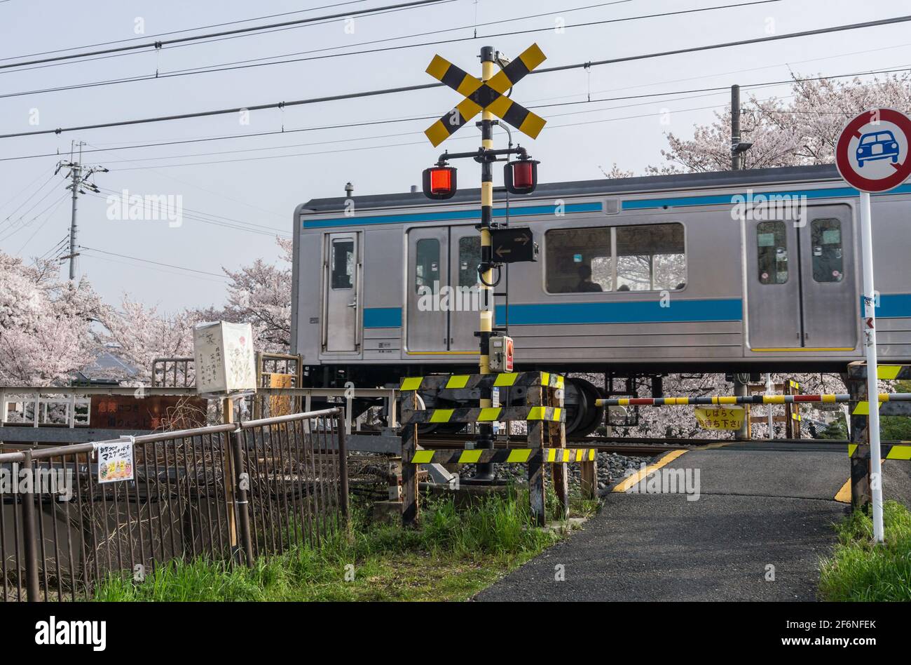 Un train JR Japan Railways 205 de la série Nara Line se rend à Kyoto en passant un passage à niveau à Nara, au Japon, en avril Banque D'Images