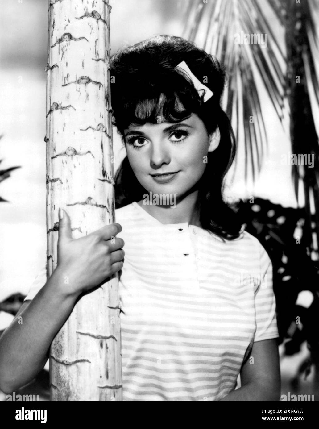 DAWN WELLS À GILLIGAN'S ISLAND (1964), DIRIGÉ PAR GARY NELSON, JACK ARNOLD, JERRY HOPPER ET LESLIE GOODWINS. Crédit: United Artists Television / Album Banque D'Images