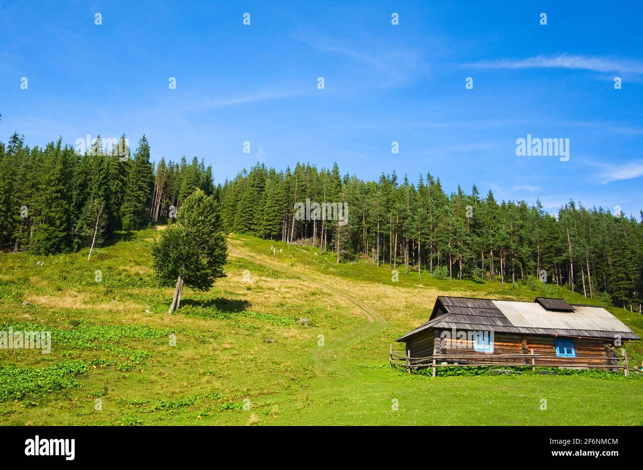 Maison de berger en bois dans une montagne. Petite cabane traditionnelle dans les montagnes carpates sur un pré vert appelé Polonyna ou pré montagnard. RU traditionnel Banque D'Images