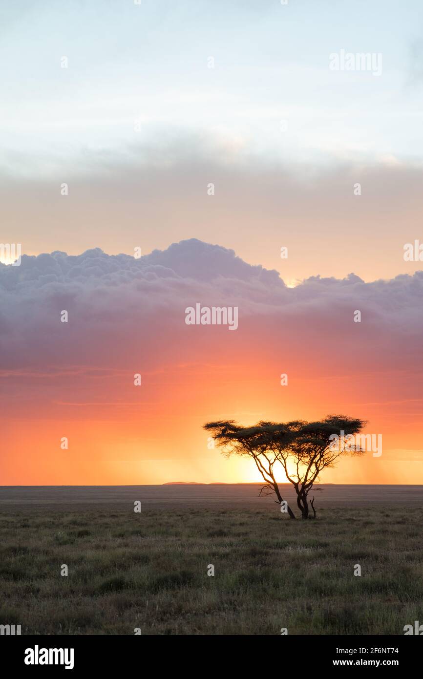 Le soleil se couche sur un ciel nuageux dans les plaines Namiri de Serengeti, en Tanzanie. Banque D'Images