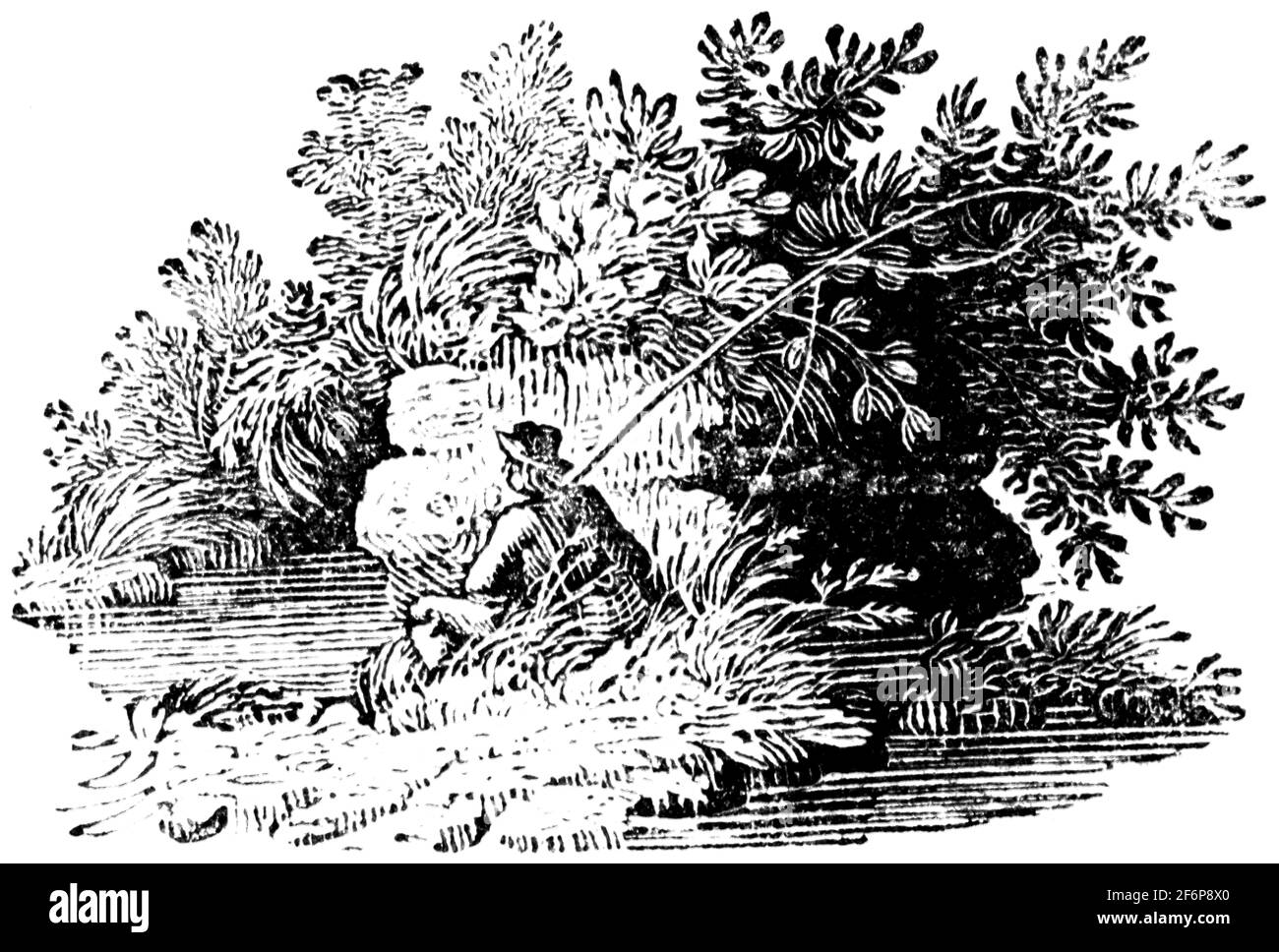 Une queue-pièce gravée par Thomas Bewick de 'l'histoire de British Birds' of Banque D'Images