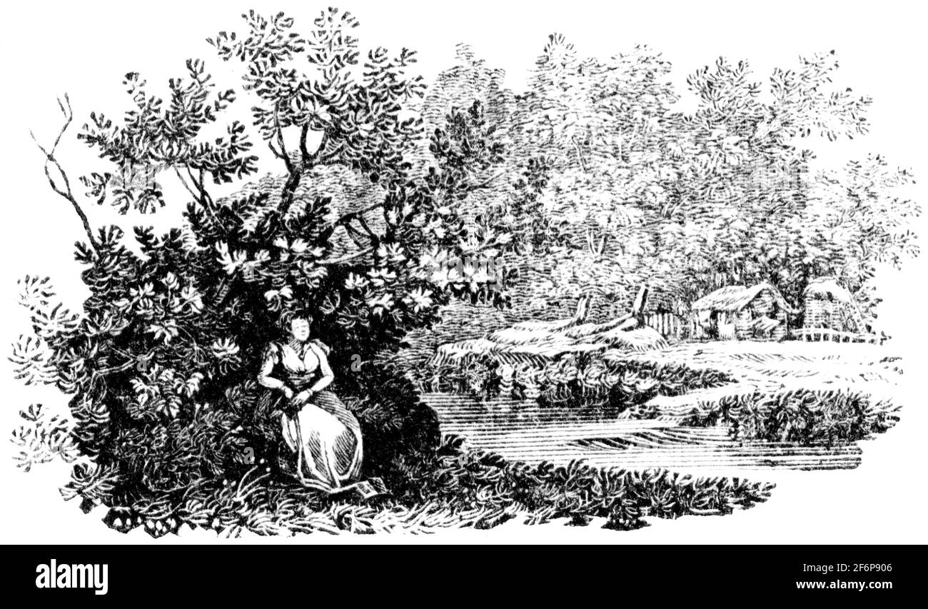 Une queue-pièce gravée par Thomas Bewick de 'l'histoire de British Birds' of Banque D'Images