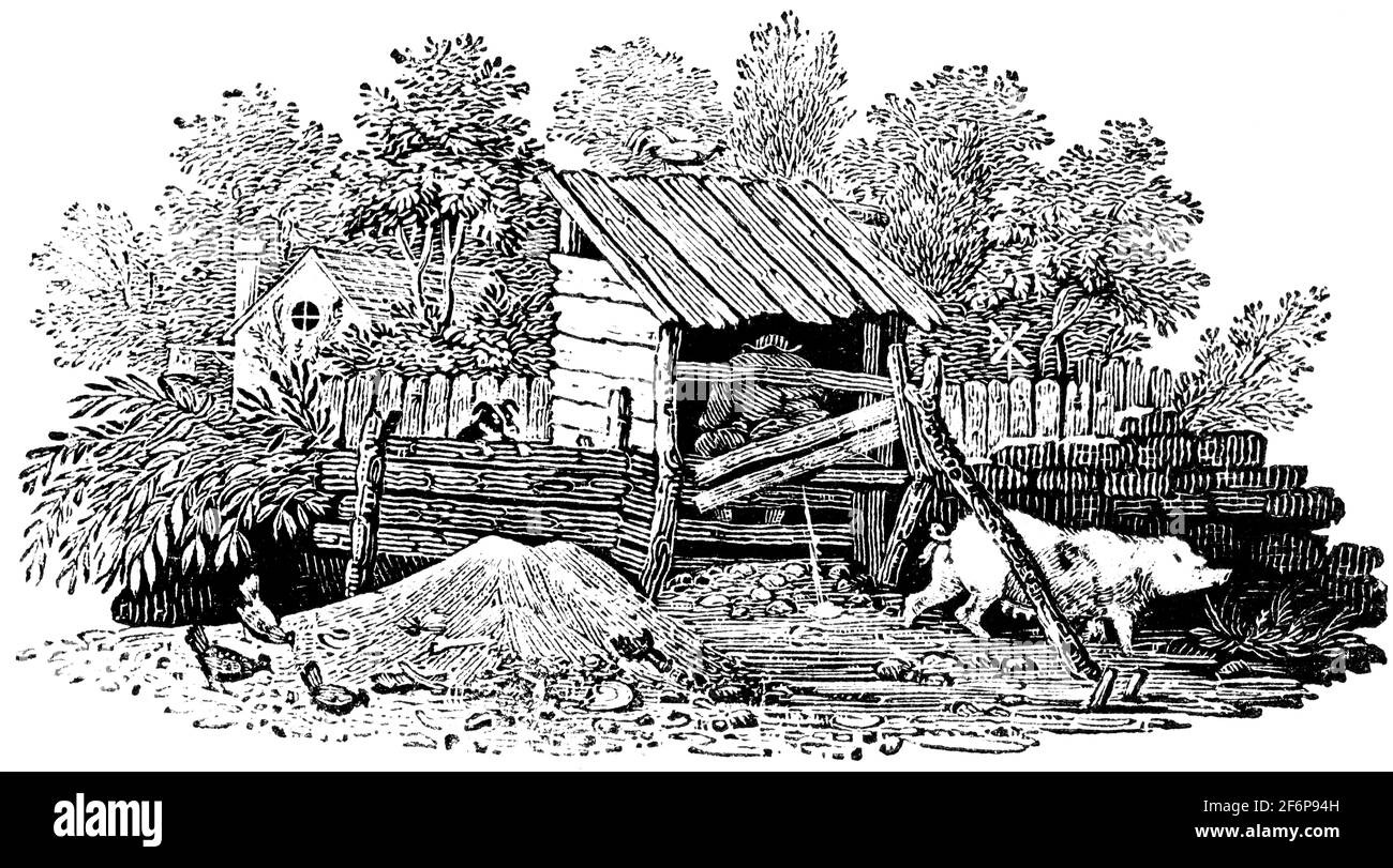 Une queue-pièce gravée par Thomas Bewick de 'l'histoire de British Birds' of Banque D'Images