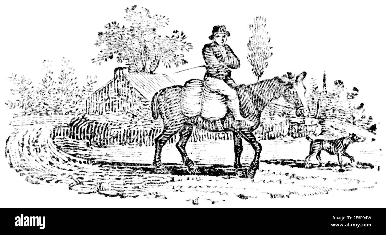 Une queue-pièce gravée par Thomas Bewick de 'l'histoire de British Birds' of Banque D'Images