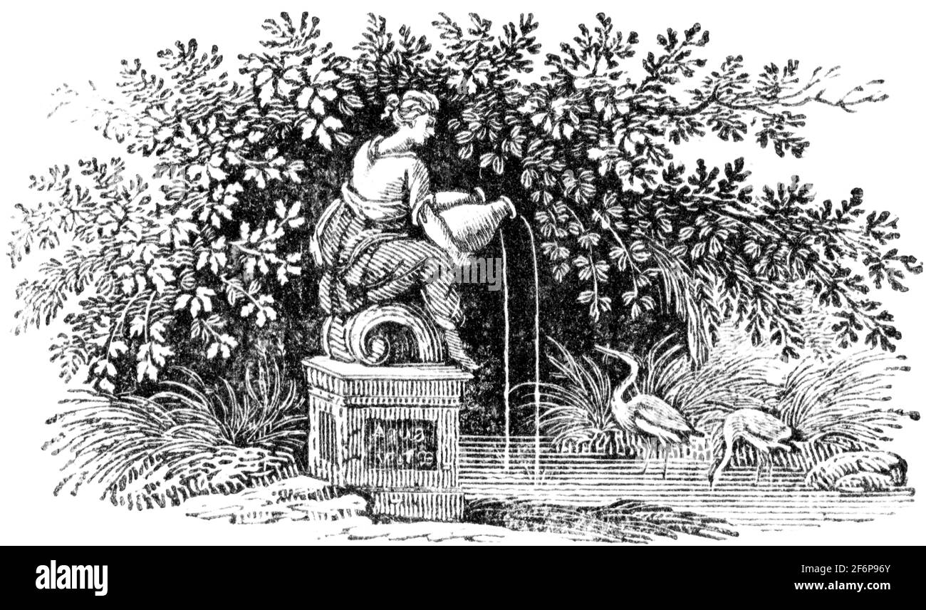 Une queue-pièce gravée par Thomas Bewick de 'l'histoire de British Birds' of Banque D'Images