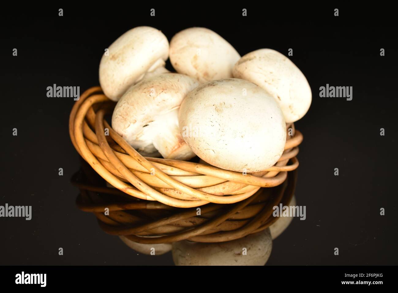 Cinq champignons bio frais appétissants champignon avec une couronne de brindilles, gros plan, sur fond noir. Banque D'Images