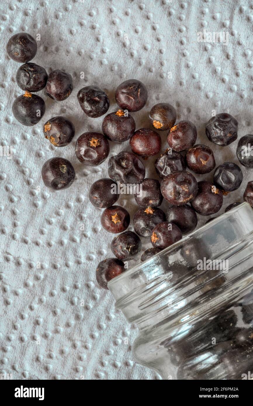 Des baies de genévrier séchées débordent d'un pot en verre sur du papier à motifs. Banque D'Images