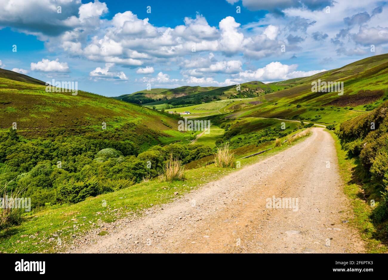 Piste de terre menant vers le bas de la vallée, Lammermuir Hills, East Lothian, Écosse, Royaume-Uni Banque D'Images