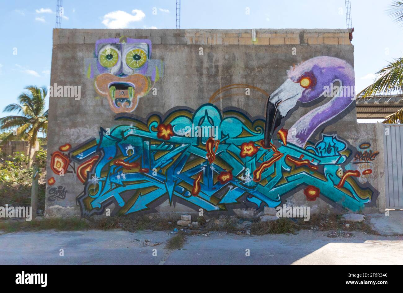 Street Art in Mexico - UN mur décoré de graffitis, avec des mots stylisés et un flamango violet Banque D'Images