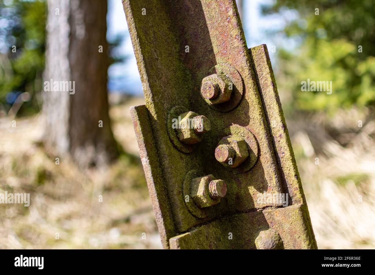 Gros plan d'écrous et de vis rouillés sur une ancienne poutre en acier dans une forêt. Banque D'Images