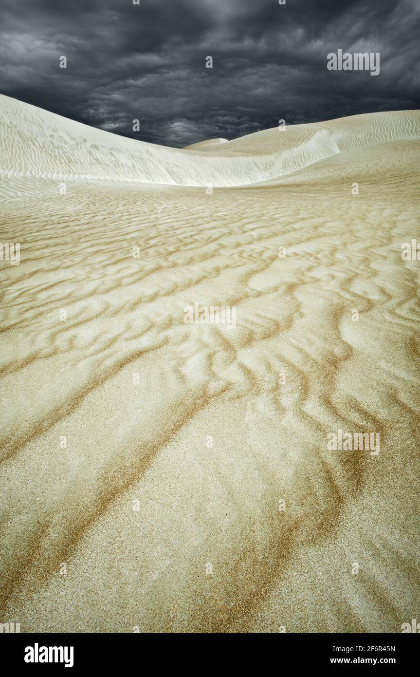 Dune de sable de Cactus Beach sous une tempête imminente. Banque D'Images