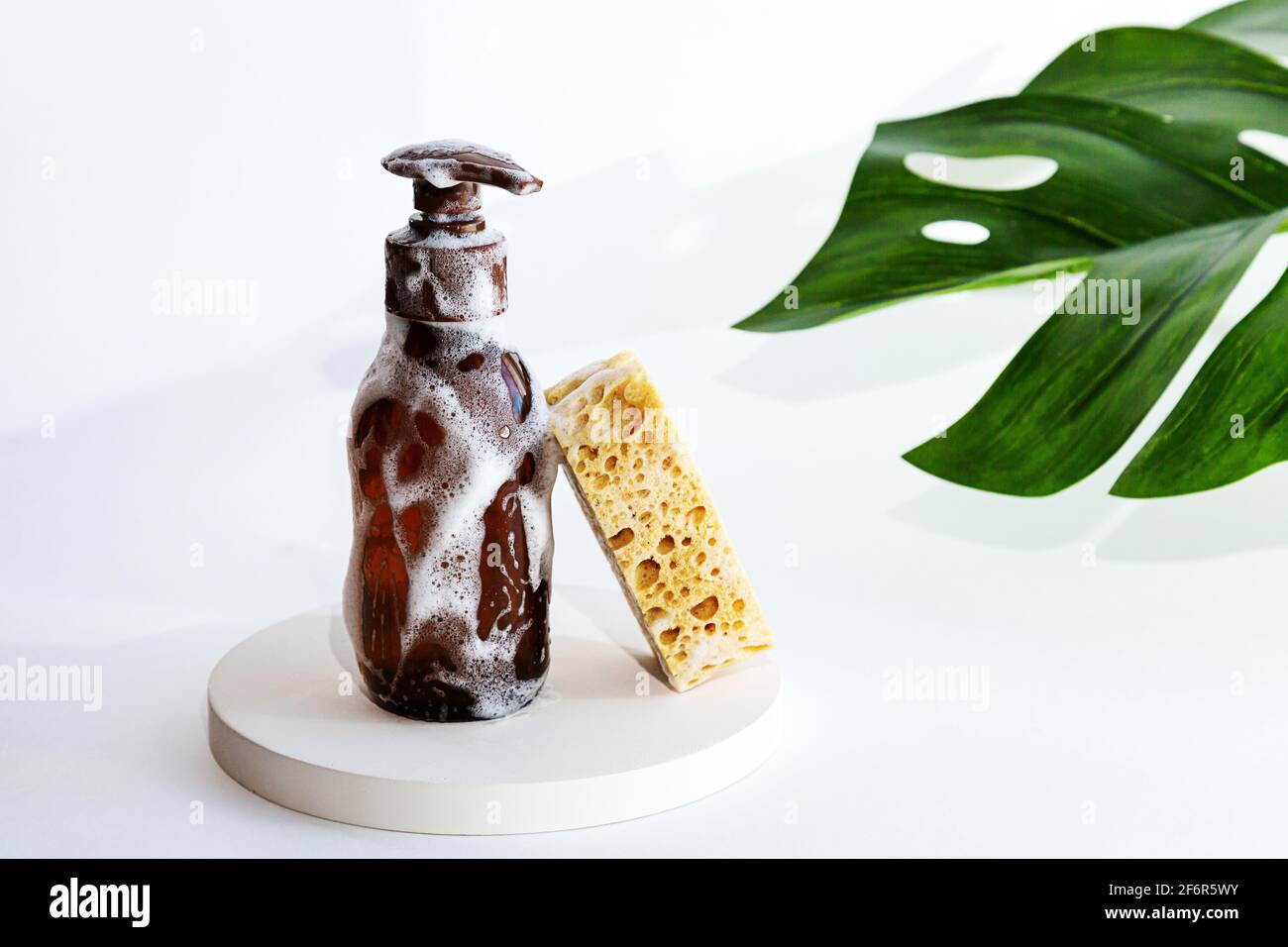 Shampooing ou savon naturel et biologique dans une bouteille en verre. Monstera produits de soin des feuilles et du corps de palmier sur fond blanc. Concept de durabilité et de santé Banque D'Images