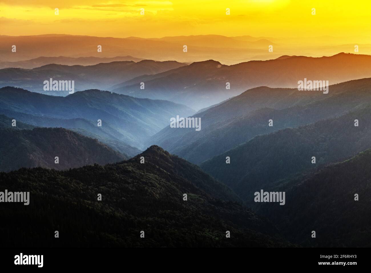 Brouillard du matin dans les montagnes du printemps. Magnifique lever de soleil sur fond. Photographie de paysage Banque D'Images
