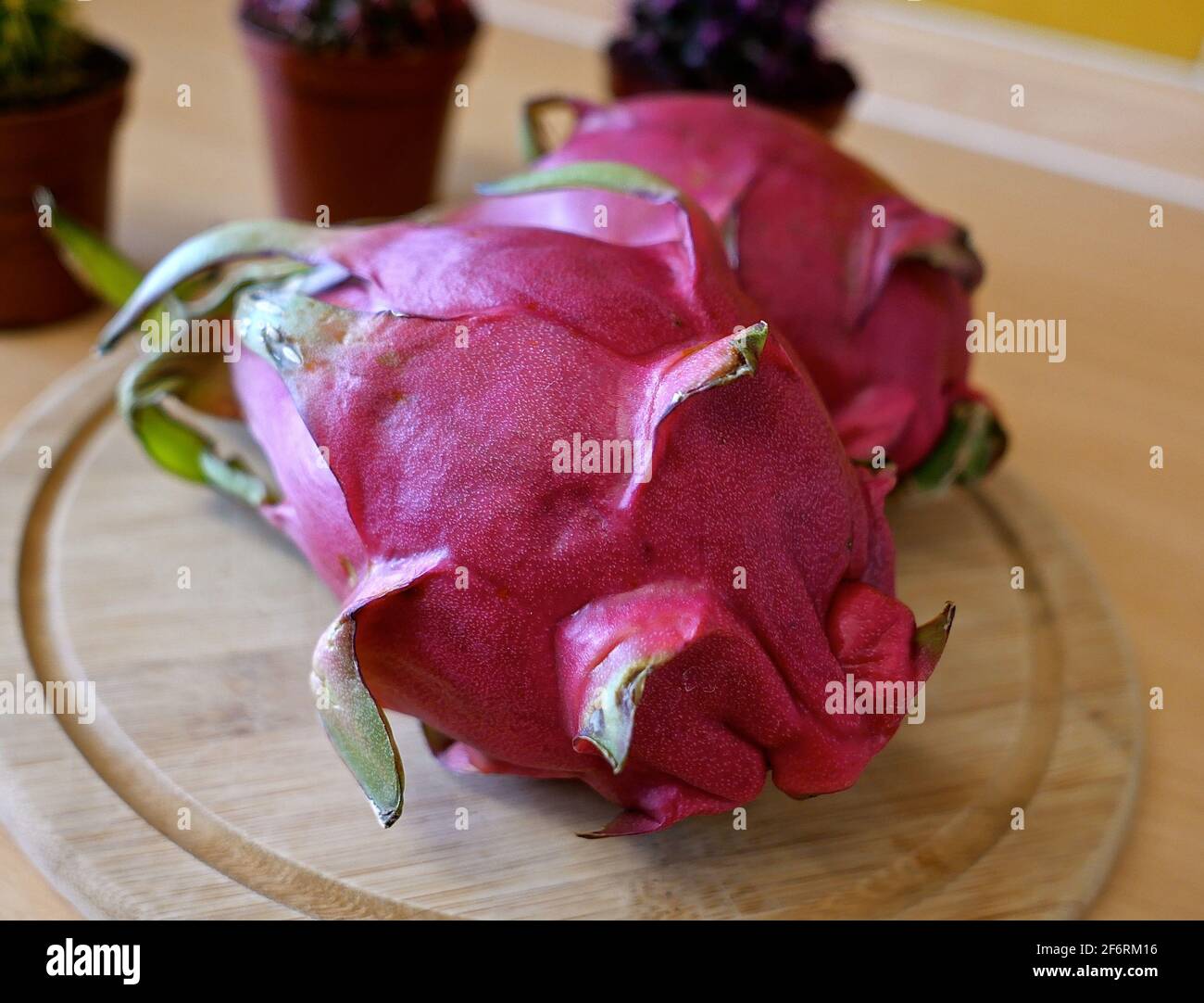 Un pitaya ou pitahaya est le fruit de plusieurs espèces de cactus indigènes des Amériques. Pitaya se réfère généralement aux fruits du genre Stenocereus, tandis que pitahaya ou fruit dragon se réfère aux fruits du genre Selenicereus, à la fois dans la famille Cactaceae.le fruit du Dragon rouge pousse aussi en Asie et est très populaire en Thaïlande et au Vietnam . Banque D'Images