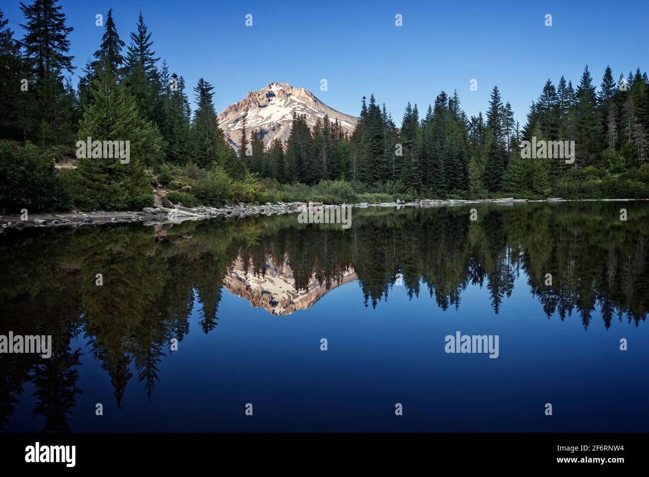 Reflet du mont Hood à Mirror Lake près du camp gouvernemental dans l'État de l'Oregon, aux États-Unis. Banque D'Images