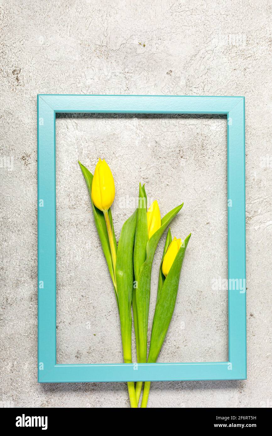 Décoration intérieure avec fleur de tulipes jaunes et cadre sur la texture grise ultime. Afficher avec espace de copie. Concept de ressort. Pose à plat Banque D'Images