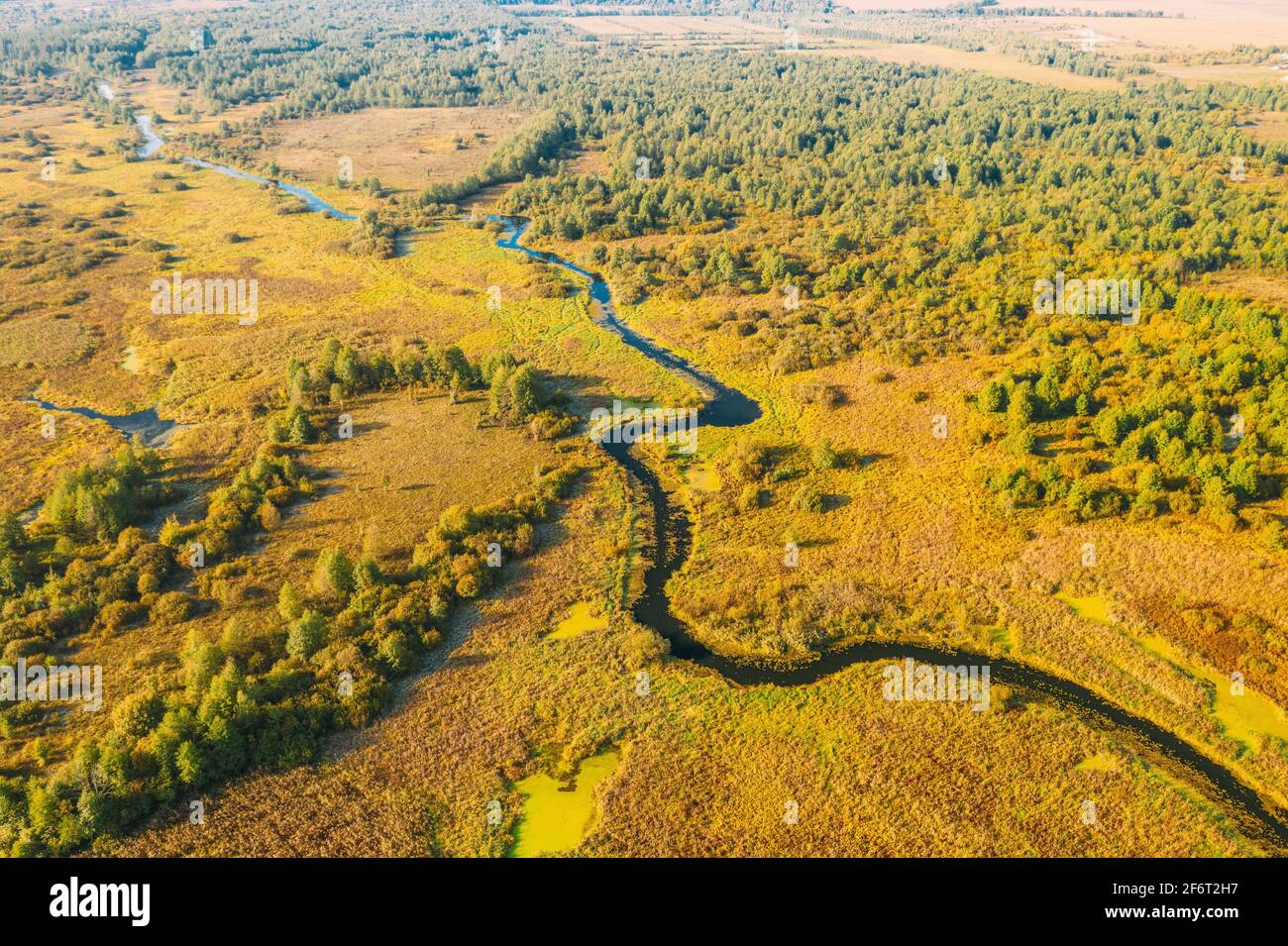 Vue aérienne Bois de la Forêt verte et paysage de la rivière en une journée ensoleillée d'été. Vue de dessus de la belle nature européenne de haute attitude en été. Banque D'Images
