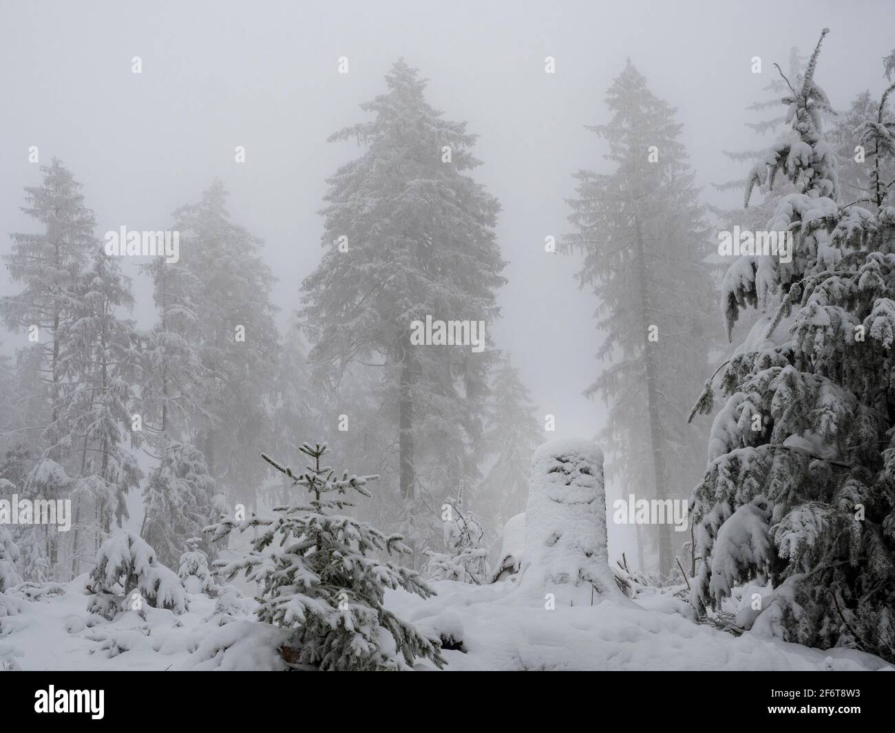 Une belle photo d'un bonhomme de neige ou d'une bonde de neige, une photo enrarante Banque D'Images