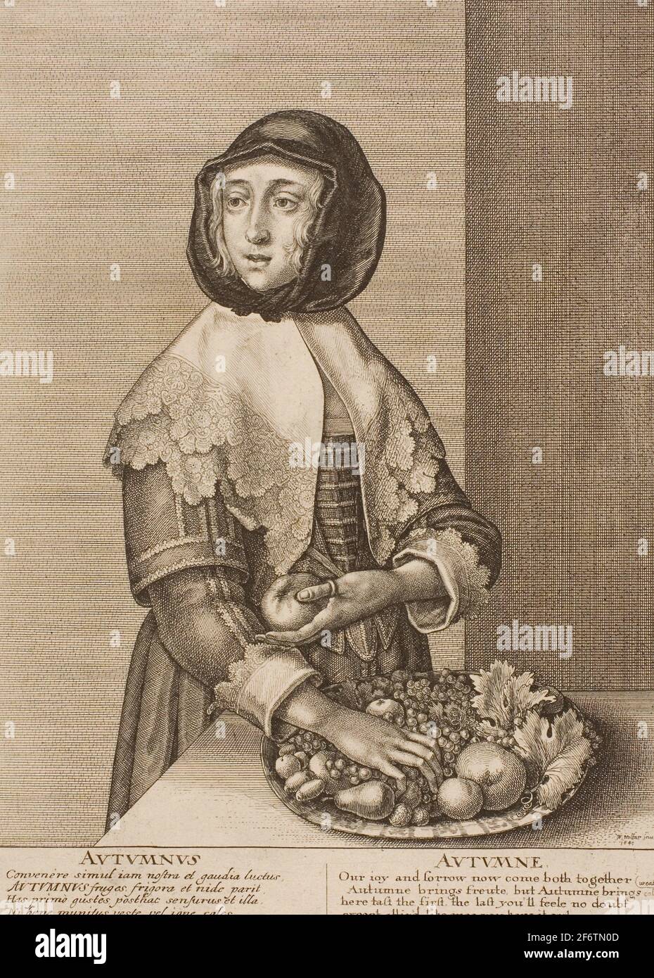 Auteur: Venceslaus Hollar. Automne - 1641 - Venceslaus Hollar Tchèque, 1607-1677. Gravure sur papier ivoire. Bohême. Banque D'Images