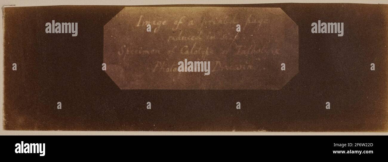 Auteur: William Henry Fox Talbot. Spécimen de Calotype de Talbotype, dessin photogénique [étiquette] - c. 1840/41 - William Henry Fox Talbot Anglais, Photo Stock