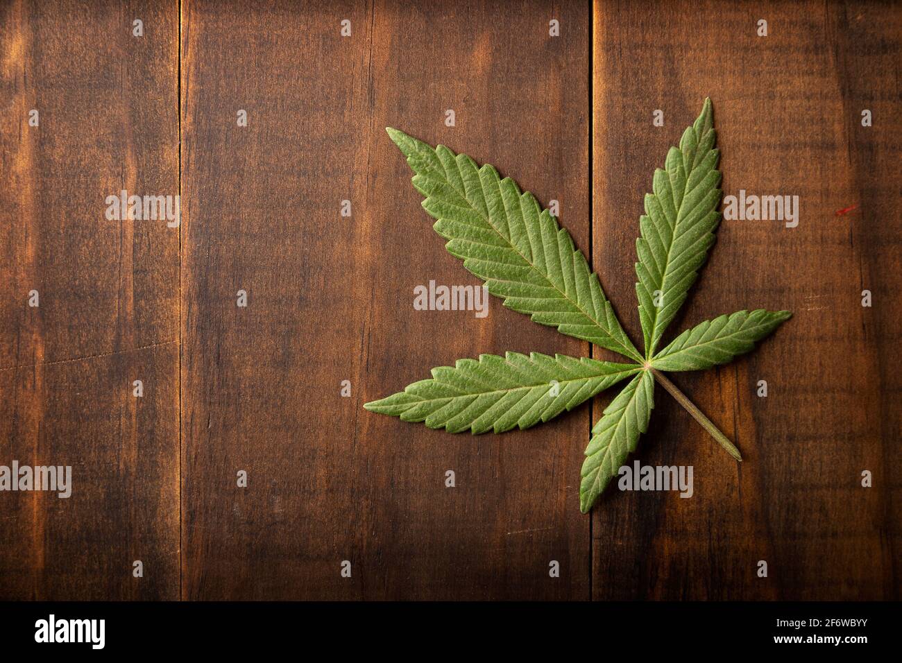 feuille de cannabis sativa (marijuana) sur fond de bois rustique avec copie espace Banque D'Images