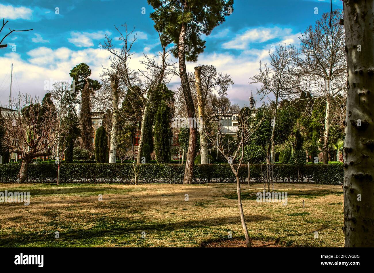 Vieux grands conifères, palmiers, cyprès, buissons de buis et nouveaux arbres sur la pelouse dans le jardin d'hiver du Palais Golestan à Téhéran Banque D'Images