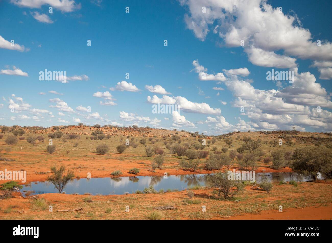 Paysage désertique après les récentes pluies, vu depuis le train Ghan au sud d'Alice Springs, territoire du Nord, Australie Banque D'Images