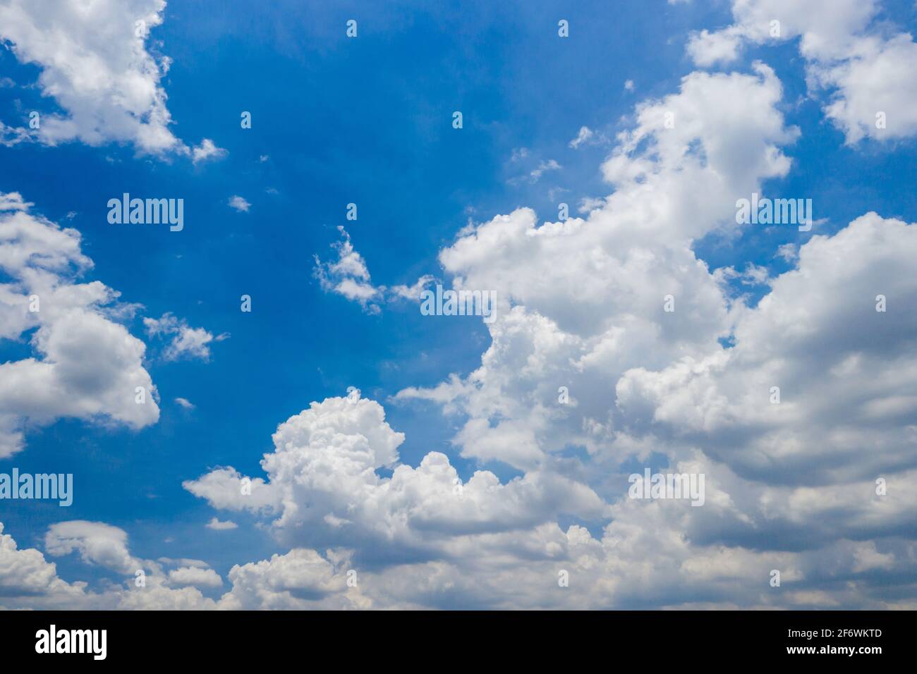 Concept de nuage de cumulus blanc et ciel bleu pour arrière-plans Banque D'Images