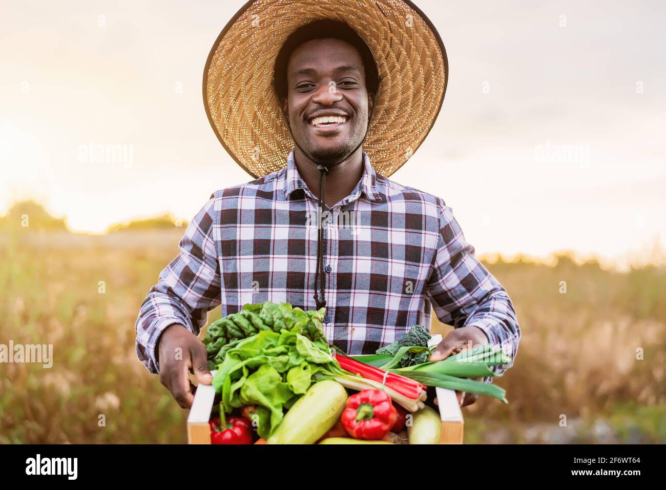 Heureux agriculteur africain travaillant dans la campagne tenant un bois boîte de légumes frais Banque D'Images