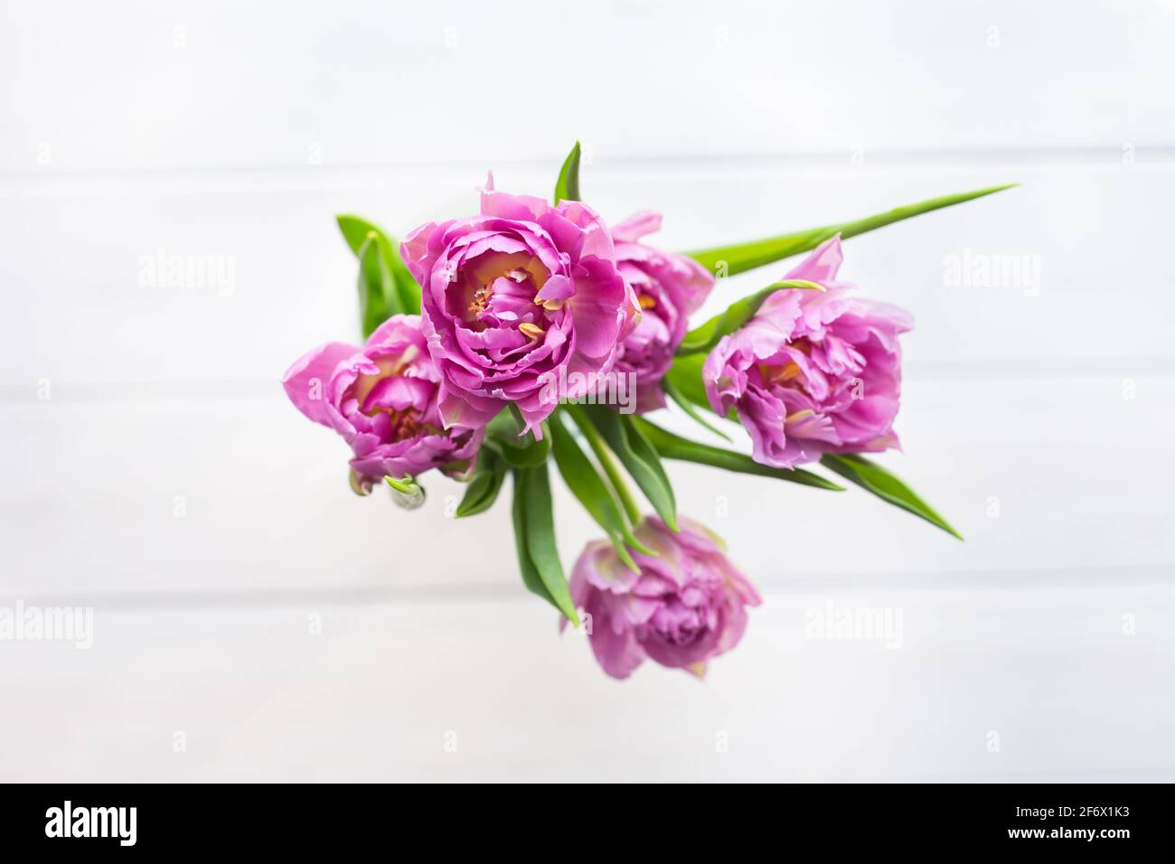 Magnifique bouquet de tulipes roses et sur fond blanc, vue de dessus. Banque D'Images