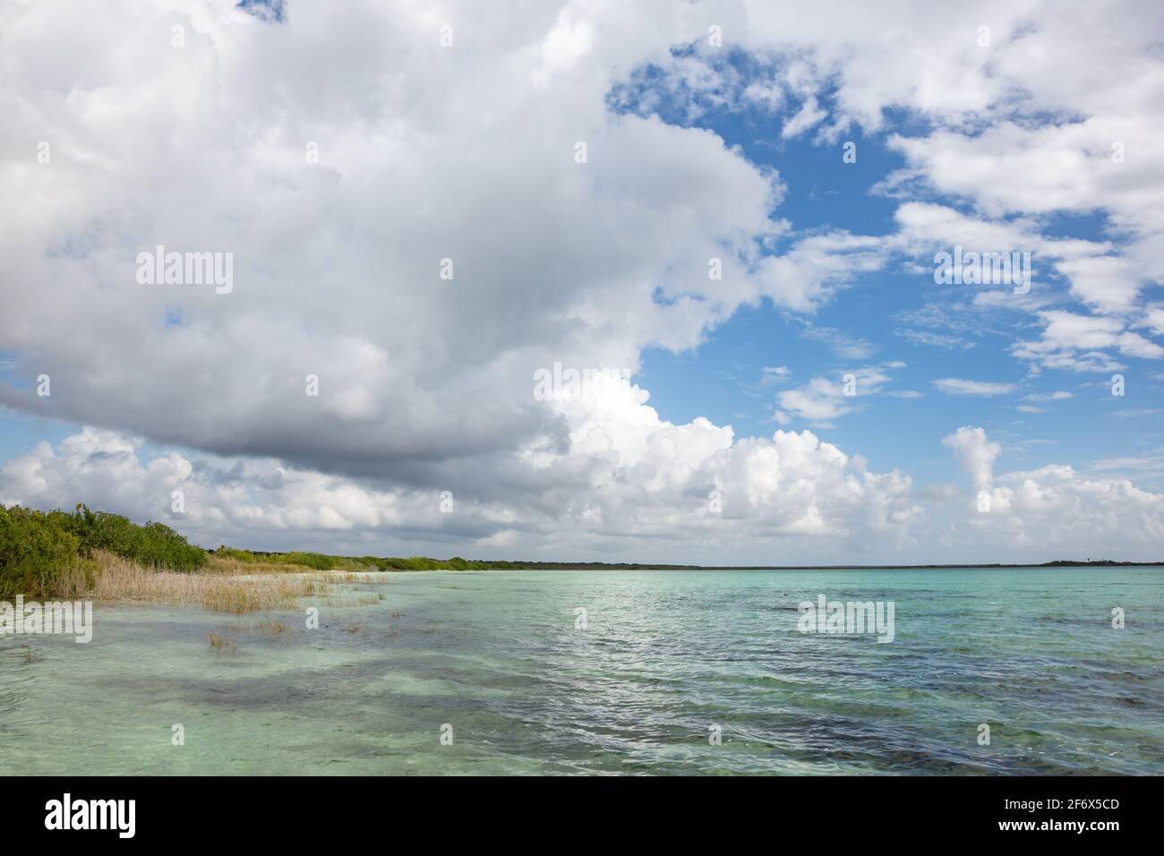 Vue sur Laguna Chunyaxche, un lagon près de Tulum, Quintana Roo, péninsule du Yucatan, Mexique Banque D'Images