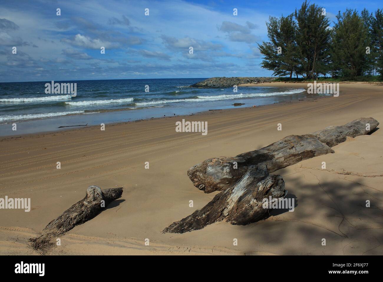 Un vide une plage incroyable avec le reste du tronc d'arbre en face de la mer de Chine du Sud dans Brunei Darussalam, île de Bornéo Banque D'Images