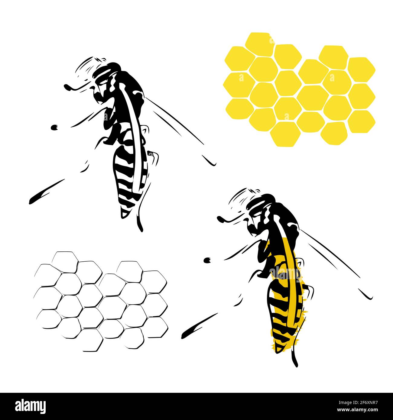 Wasp nid d'abeille illustration noir jaune isolé sur fond blanc Illustration de Vecteur