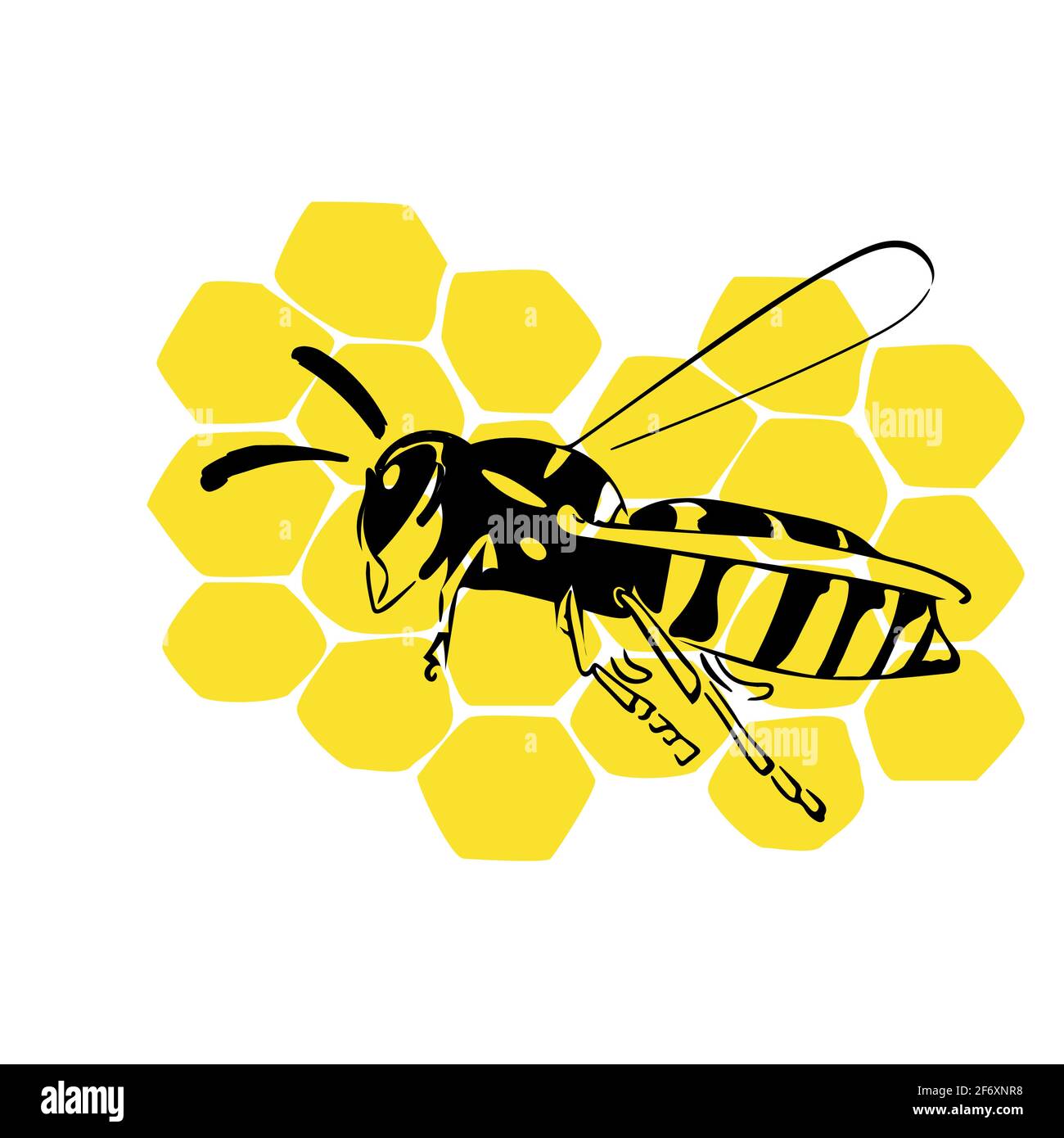 Wasp sur l'illustration en nid d'abeille noir jaune isolé sur fond blanc Illustration de Vecteur
