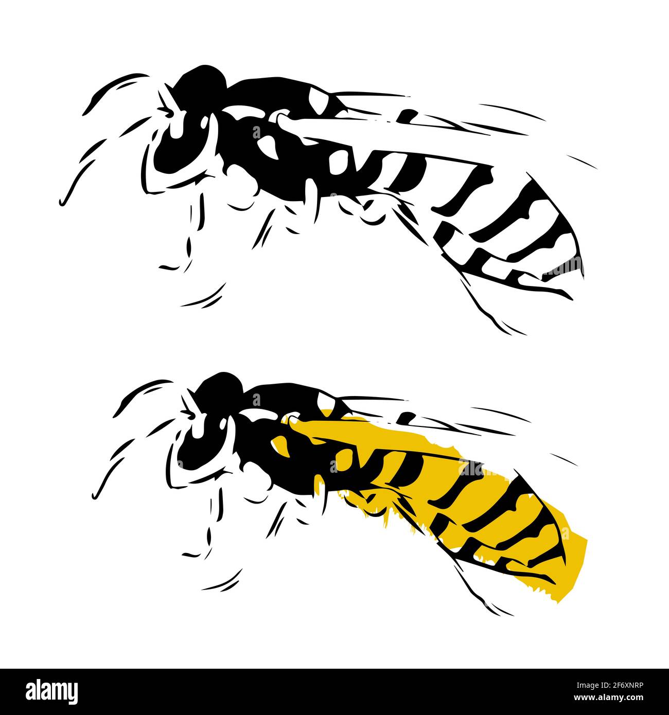 Wasp illustration noir jaune isolé sur fond blanc Illustration de Vecteur