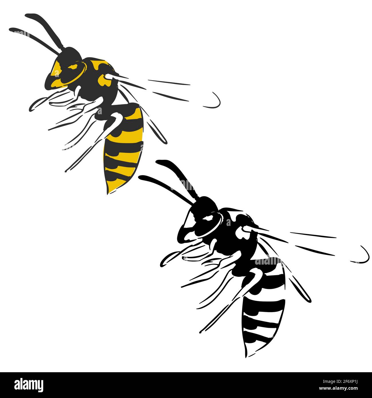 Wasp illustration noir jaune isolé sur fond blanc Illustration de Vecteur