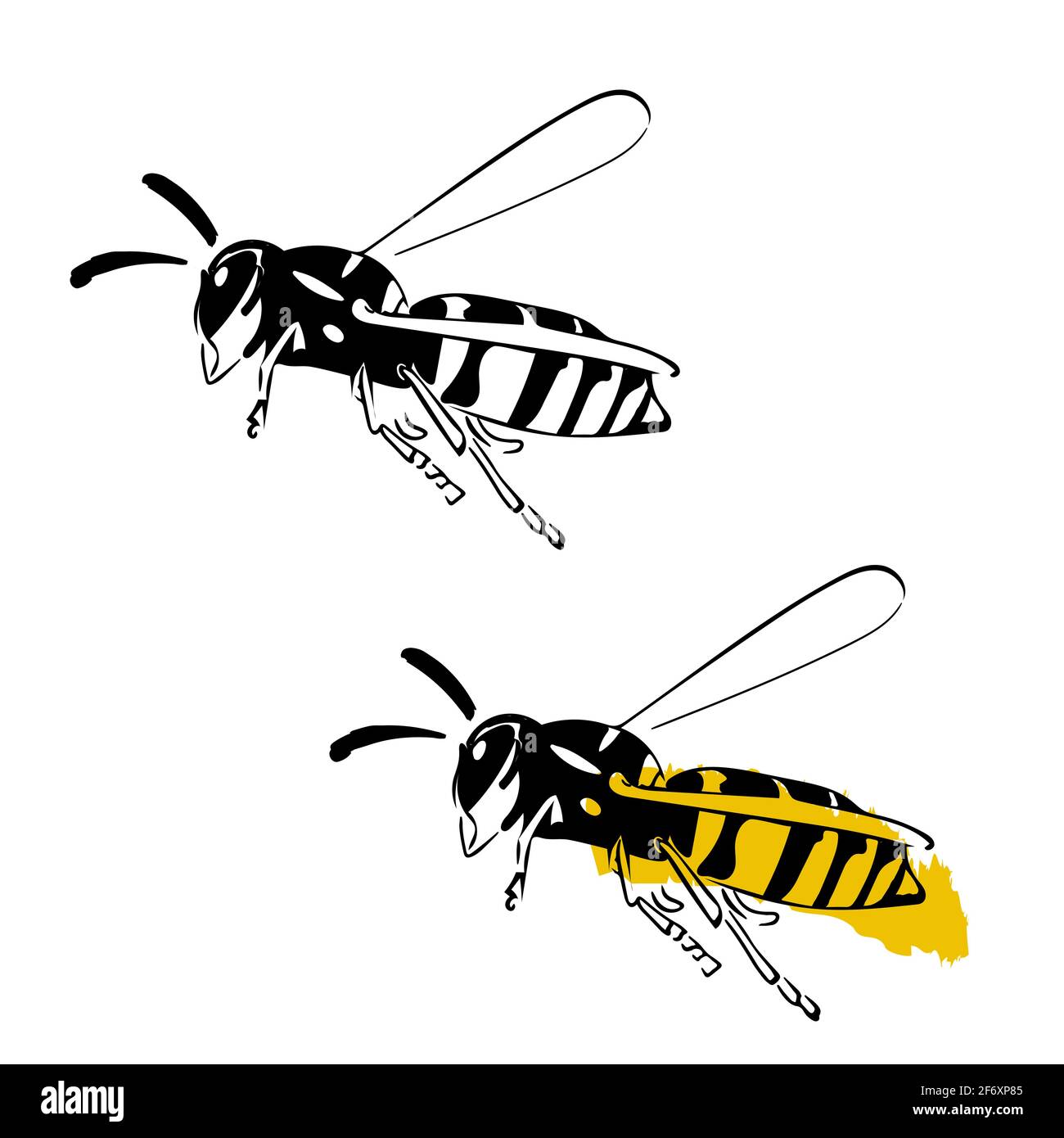 Wasp illustration noir jaune isolé sur fond blanc Illustration de Vecteur