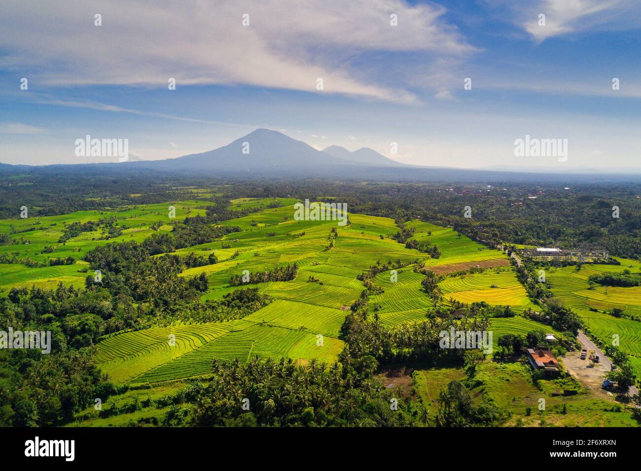 Vue aérienne des champs de riz tropicaux dans le paysage rural, Mandalika, Lombok, Nusa Tenggara Ouest, Indonésie Banque D'Images